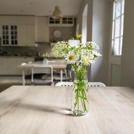 Premium Hostel Кобарид Екстериор снимка